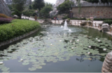 郑州某园景观用水综合治理工程